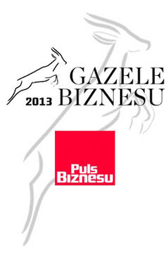 Рейтинг Газели бизнеса 2013